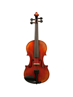 Step-Up & Professional String Instruments