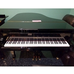 C3B Yamaha Grand Piano 6'1''