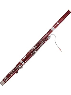 Bassoon Reeds