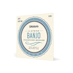 Banjo String Set Light Phosphor Bronze D'Addario EJ69