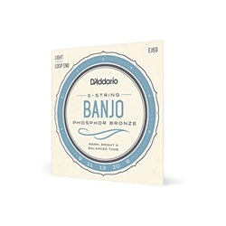 Banjo String Set Light Phosphor Bronze D'Addario EJ69
