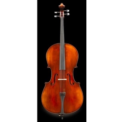 4/4 Cello Eastman VC30544